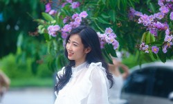 Hoa bằng lăng nở rộ, 'nhuộm' tím phố phường Hà Nội, phái nữ đua nhau check-in Hoa bằng lăng nở rộ, 'nhuộm' tím phố phường Hà Nội, phái nữ đua nhau check-in