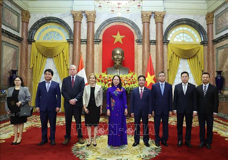 Quyền Chủ tịch nước Võ Thị Ánh Xuân tiếp các Đại sứ các nước trình Quốc thư