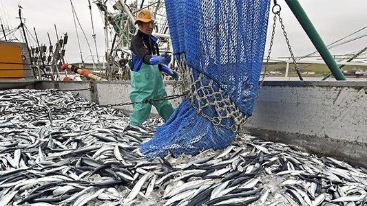 Trung Quốc thu hẹp cửa với thủy sản Nhật Bản