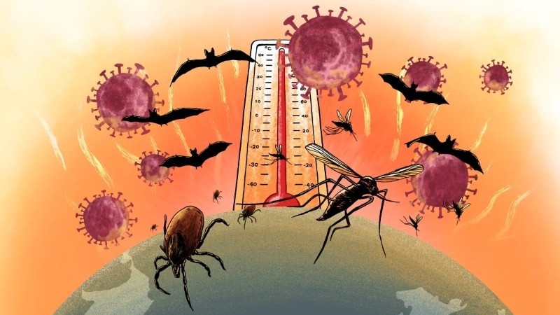 Chuyên gia cảnh báo đại dịch kế tiếp Covid-19; Hé lộ nguồn gốc