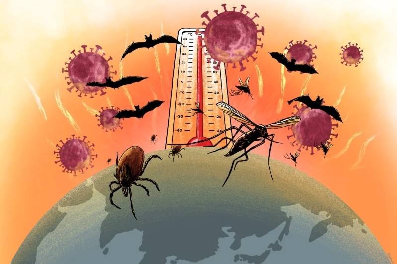 Sau Covid-19, thế giới cần sẵn sàng với đại dịch tiếp theo Chuyên gia cảnh báo đại dịch kế tiếp Covid-19; Hé lộ nguồn gốc