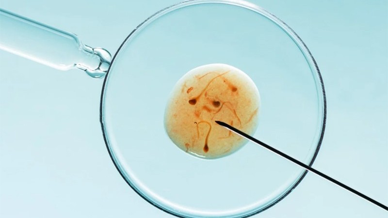 Ngành công nghiệp sản xuất trẻ em trị giá hàng tỷ USD ở châu Á, nơi những điều kỳ diệu không hề rẻ