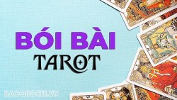 Bài tarot hôm nay 8/6: Bạn độc thân là do kén chọn hay vì điều gì?