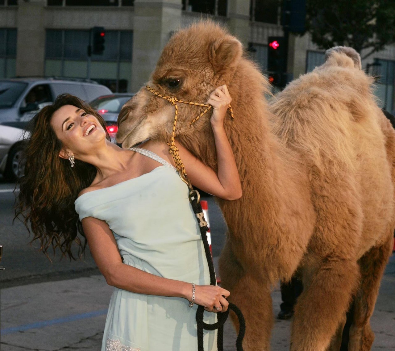 Khoảnh khắc đáng yêu trên thảm đỏ của những ‘người bạn’ lắm lông Khoảnh khắc đáng yêu trên thảm đỏ của những ‘người bạn’ lắm lông