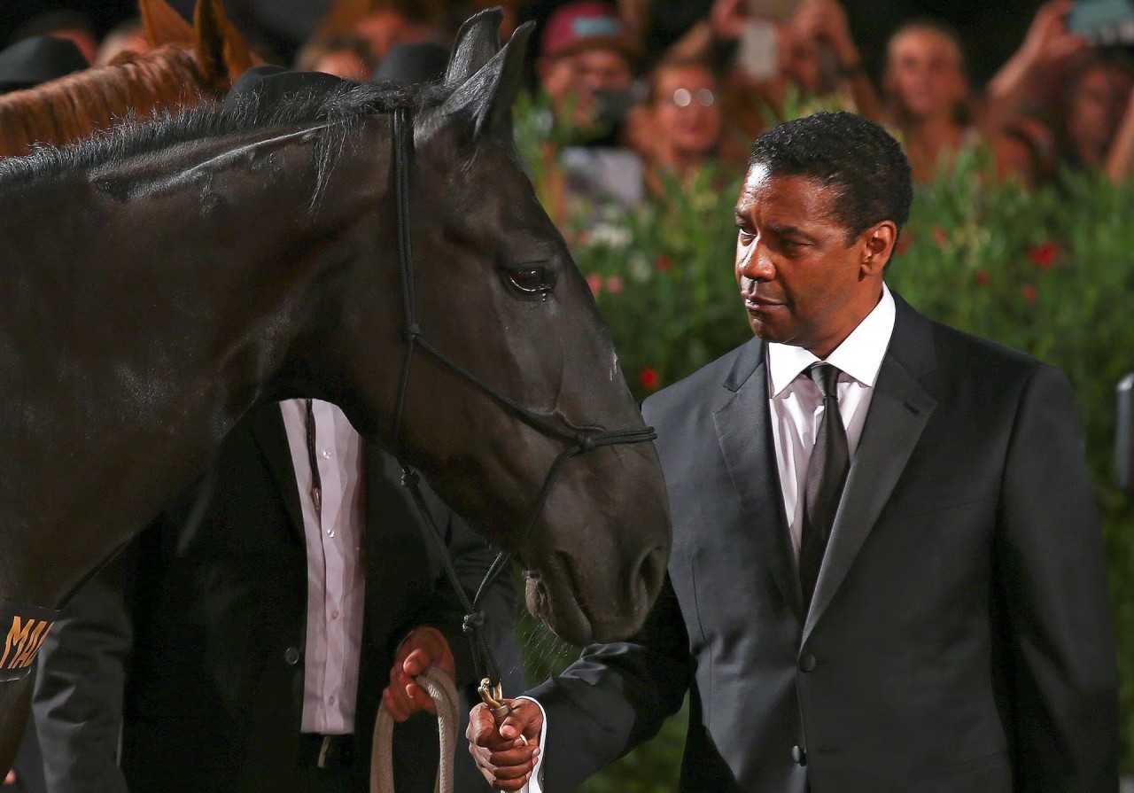 Khoảnh khắc đáng yêu trên thảm đỏ của những ‘người bạn’ lắm lông Khoảnh khắc đáng yêu trên thảm đỏ của những ‘người bạn’ lắm lông