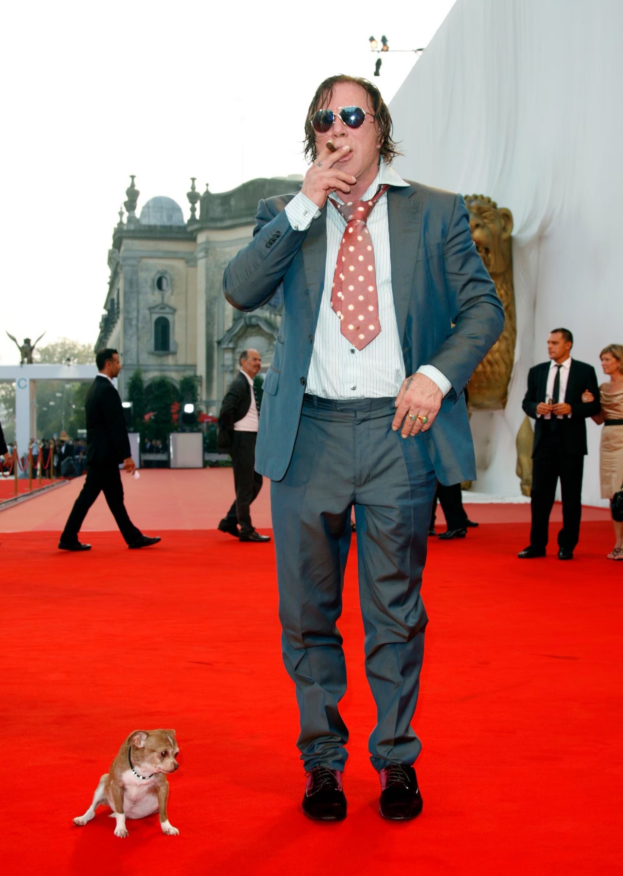 Khoảnh khắc đáng yêu trên thảm đỏ của những ‘người bạn’ lắm lông Khoảnh khắc đáng yêu trên thảm đỏ của những ‘người bạn’ lắm lông