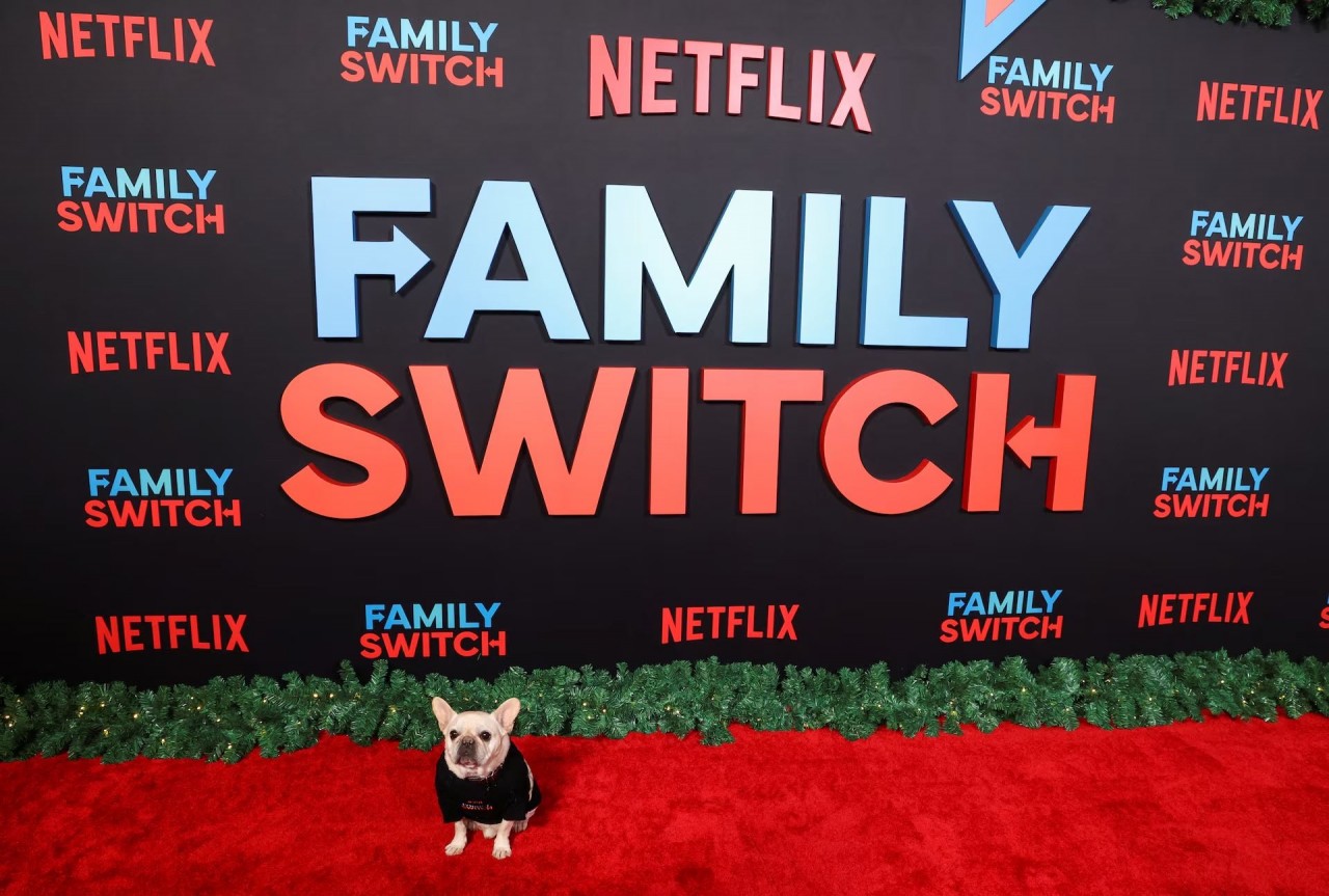 Khoảnh khắc đáng yêu trên thảm đỏ của những ‘người bạn’ lắm lông Khoảnh khắc đáng yêu trên thảm đỏ của những ‘người bạn’ lắm lông