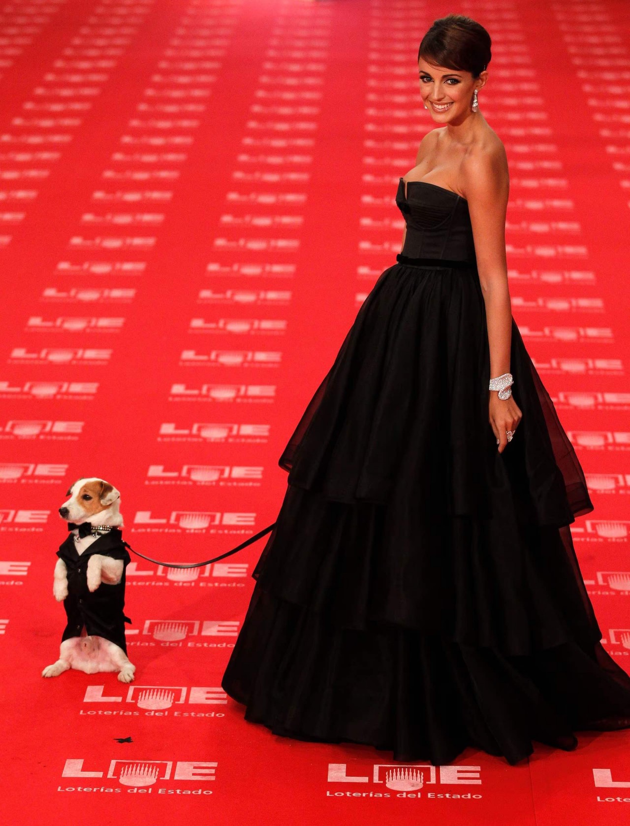 Khoảnh khắc đáng yêu trên thảm đỏ của những ‘người bạn’ lắm lông Khoảnh khắc đáng yêu trên thảm đỏ của những ‘người bạn’ lắm lông