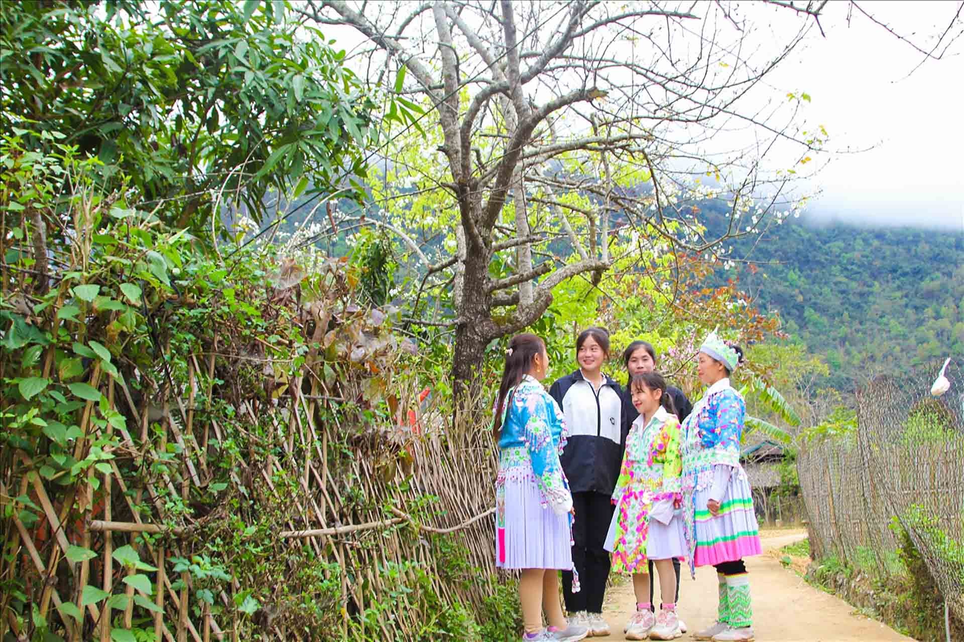 Bài 2: Chung sức hành động phòng ngừa và giảm thiểu lao động trẻ em Bài 2: Chung sức hành động phòng ngừa và giảm thiểu lao động trẻ em