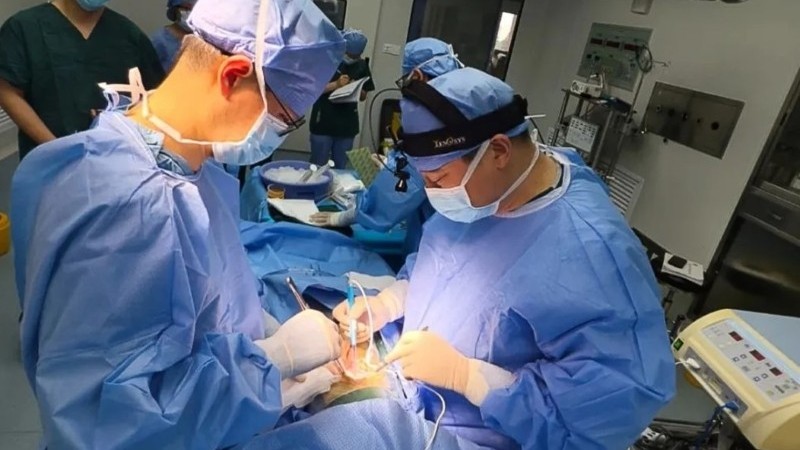 Kỳ tích khoa học: Bệnh nhân ung thư được ghép gan lợn bằng phương pháp cấy ghép dị chủng