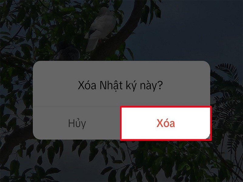 Xóa story trên TikTok chỉ với vài thao tác đơn giản Xóa story trên TikTok chỉ với vài thao tác đơn giản