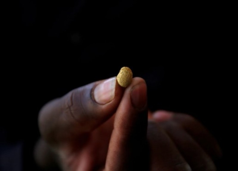 Một thợ khai thác vàng thủ công ở Burkina Faso cầm một cục vàng. Ảnh tư liệu: Reuters Một thợ khai thác vàng thủ công ở Burkina Faso cầm một cục vàng. Ảnh tư liệu: Reuters