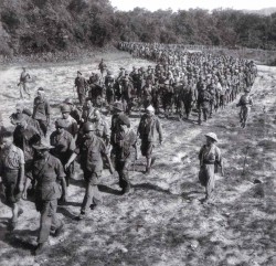 Tình người trên chiến hào Điện Biên Phủ