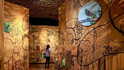 Hiệu quả thiết thực từ dự án 'Chia sẻ và gìn giữ di sản Việt Nam'