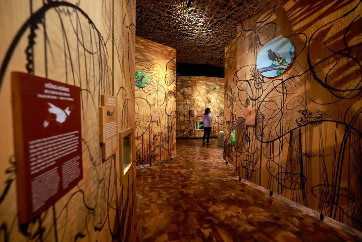 Hiệu quả thiết thực từ dự án 'Chia sẻ và gìn giữ di sản Việt Nam' Hiệu quả thiết thực từ dự án 'Chia sẻ và gìn giữ di sản Việt Nam'