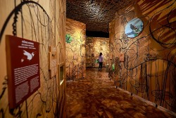 Hiệu quả thiết thực từ dự án 