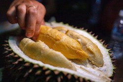 Thái Lan - thị trường nhập khẩu sầu riêng lớn thứ hai của Việt Nam