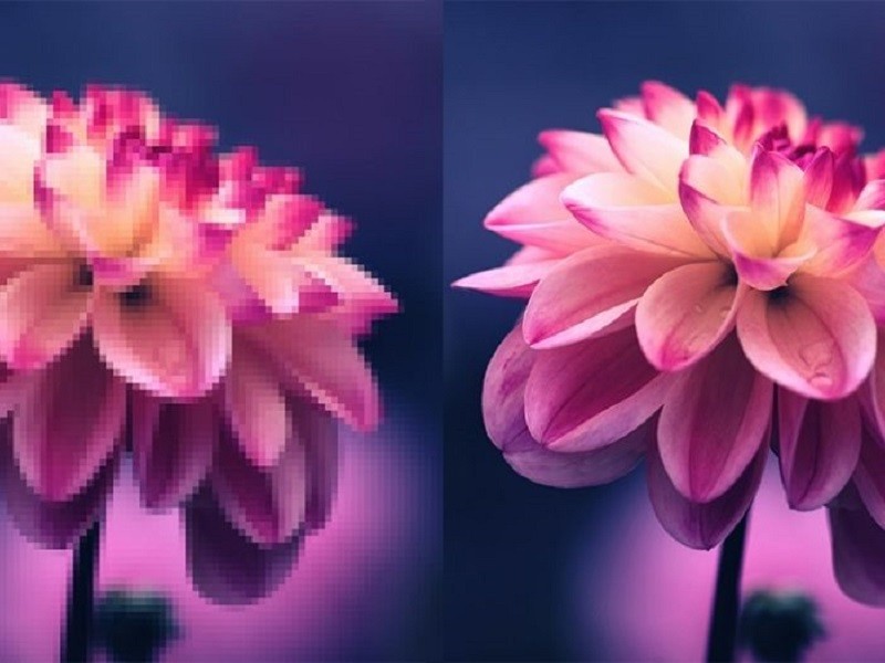 Làm nét ảnh bằng AI đơn giản mà không phải ai cũng biết Làm nét ảnh bằng AI đơn giản mà không phải ai cũng biết