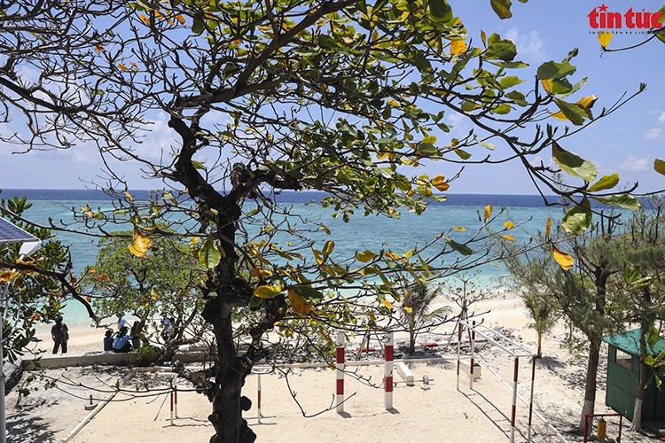 Phủ xanh Trường Sa: Nỗ lực không ngừng của quân và dân Phủ xanh Trường Sa: Nỗ lực không ngừng của quân và dân