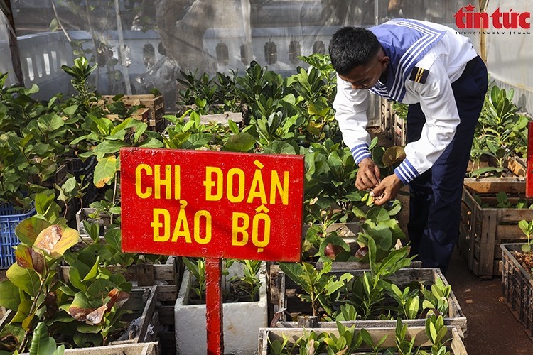 Phủ xanh Trường Sa: Nỗ lực không ngừng của quân và dân Phủ xanh Trường Sa: Nỗ lực không ngừng của quân và dân