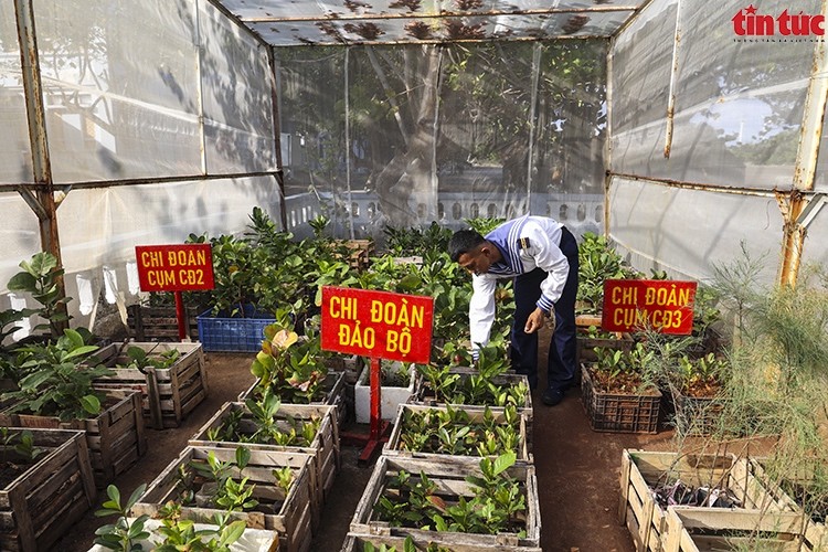 Phủ xanh Trường Sa: Nỗ lực không ngừng của quân và dân Phủ xanh Trường Sa: Nỗ lực không ngừng của quân và dân