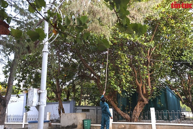 Phủ xanh Trường Sa: Nỗ lực không ngừng của quân và dân Phủ xanh Trường Sa: Nỗ lực không ngừng của quân và dân