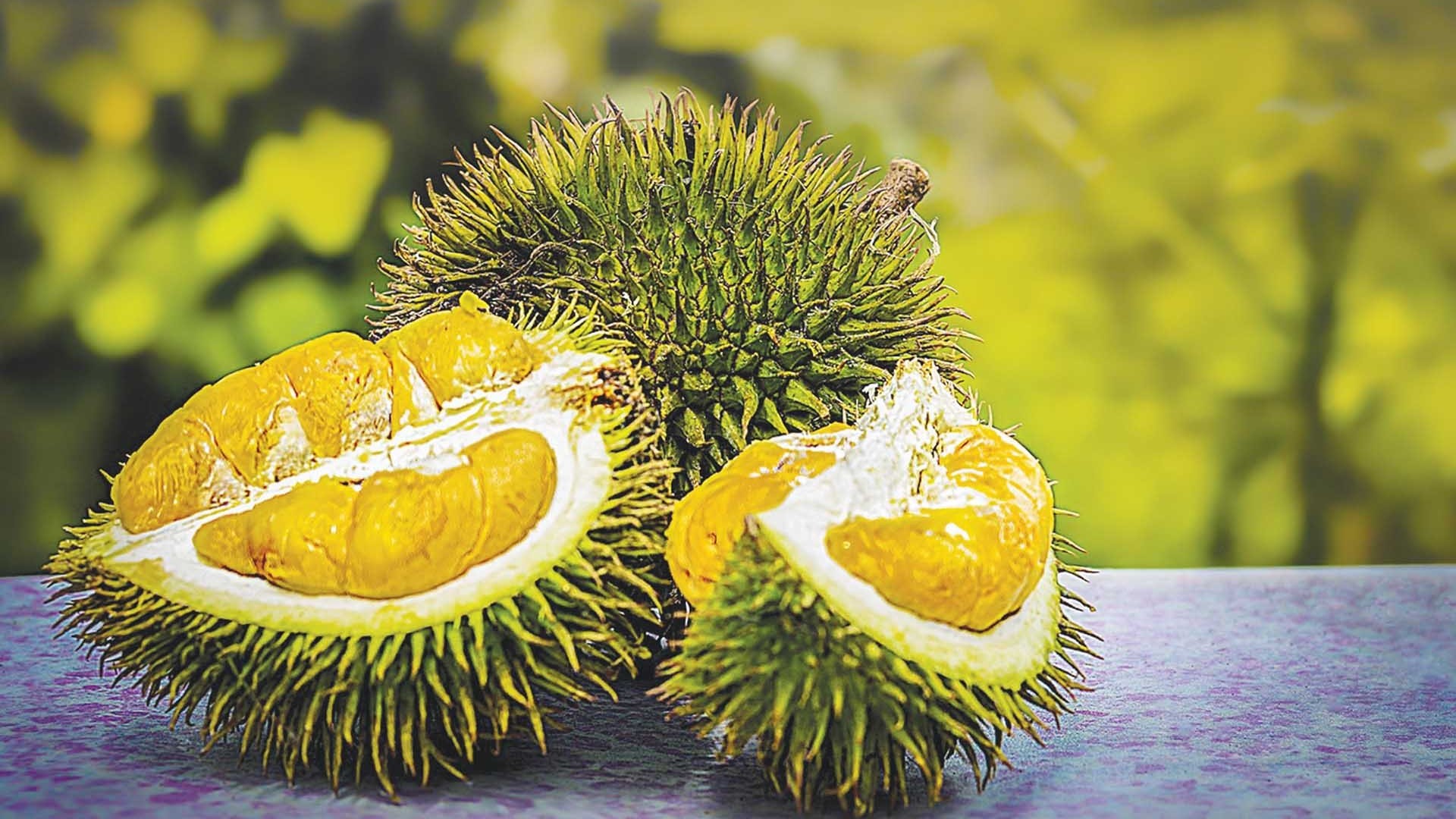 Mô hình xuất khẩu nông sản trong kỷ nguyên công nghệ