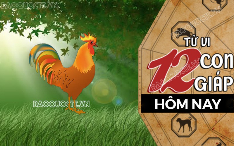Tử vi hôm nay, xem tử vi 12 con giáp hôm nay ngày 28/7/2025: Tuổi Dậu công việc thăng tiến Tử vi hôm nay, xem tử vi 12 con giáp hôm nay ngày 28/7/2025: Tuổi Dậu công việc thăng tiến