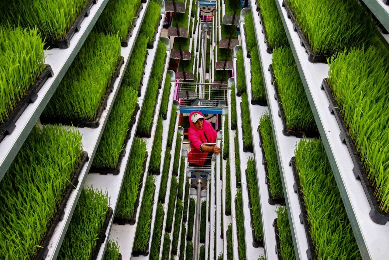 Ảnh ấn tượng (3-9/6): Nga-Ukraine trao đổi tù binh lần thứ 52, ông Putin bác tin có kế hoạch tấn công NATO, Mỹ-Pháp hóa giải bất đồng