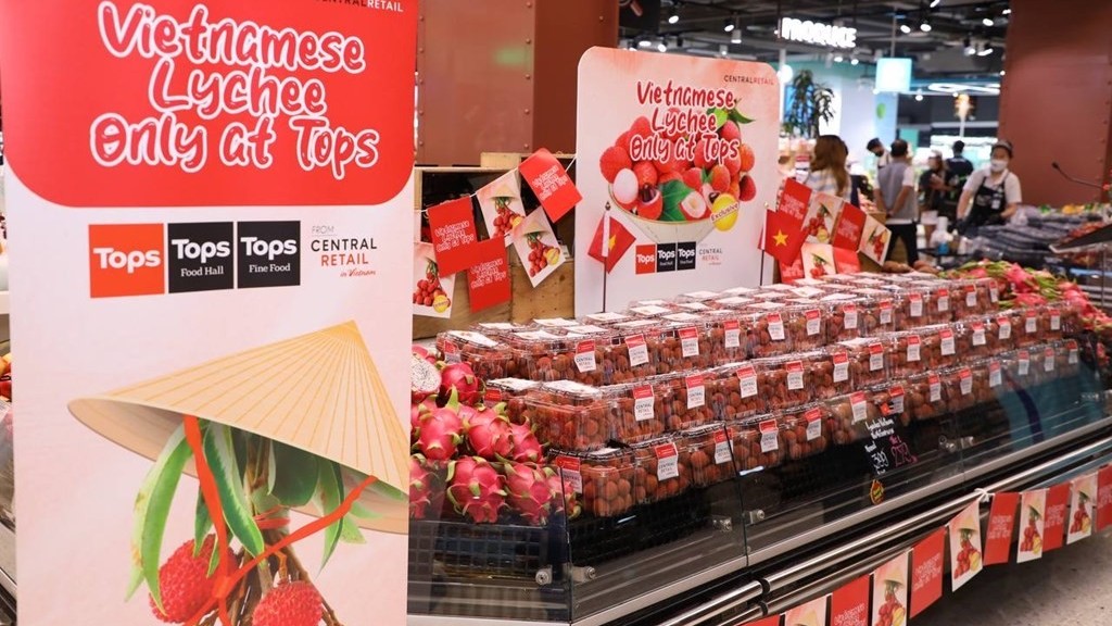 Người Thái khen vải thiều Việt Nam ngon nhất, chờ đợi cả năm để được ăn