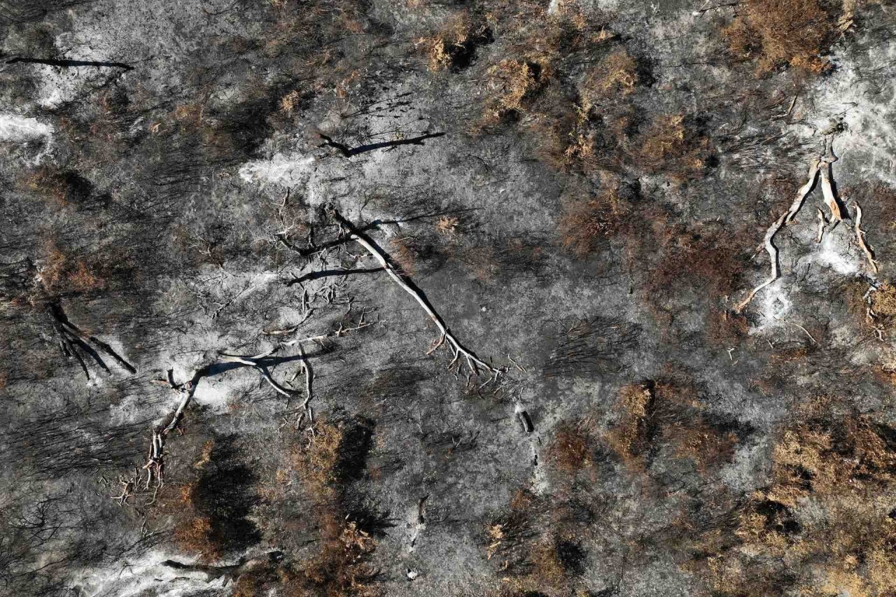 Cháy rừng thiêu rụi vùng đất ngập nước lớn nhất thế giới ở Brazil