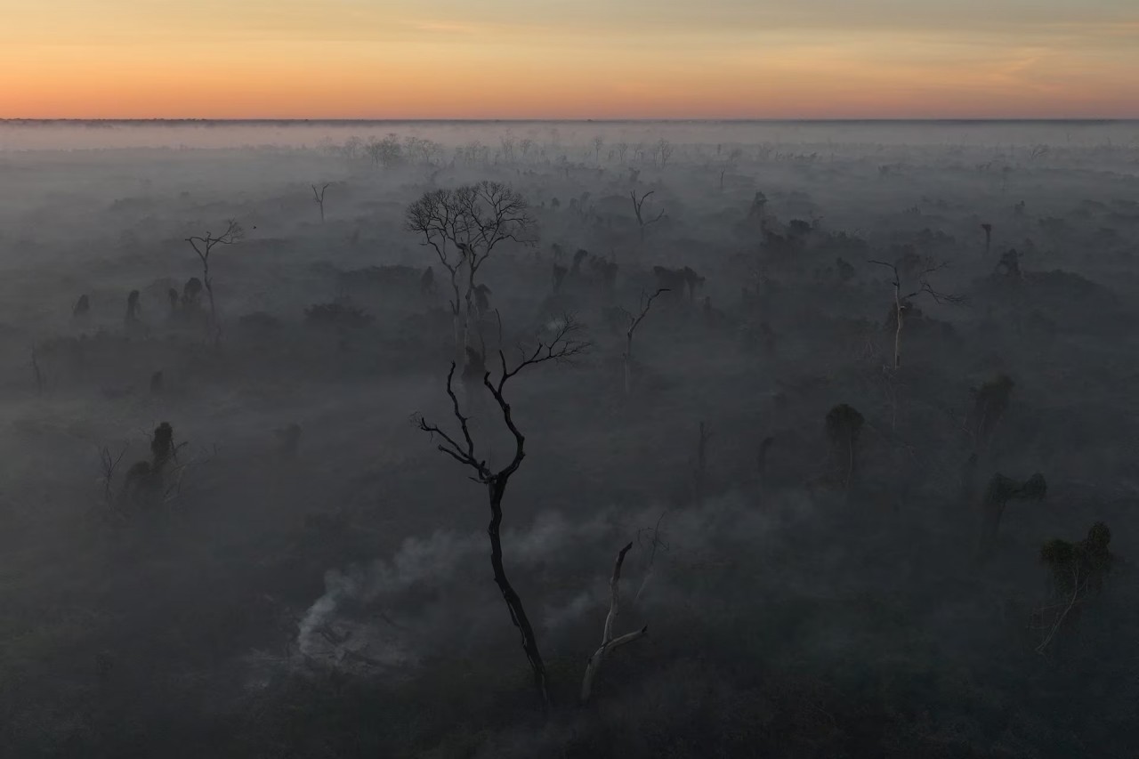 Cháy rừng thiêu rụi vùng đất ngập nước lớn nhất thế giới ở Brazil