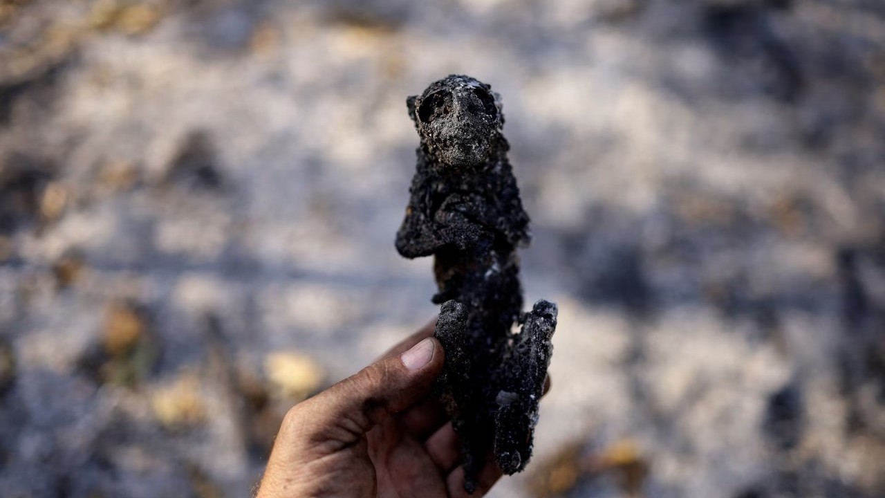 Cháy rừng thiêu rụi vùng đất ngập nước lớn nhất thế giới ở Brazil