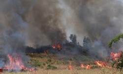 Hezbollah tấn công một lữ đoàn Israel, đe dọa về cuộc chiến 