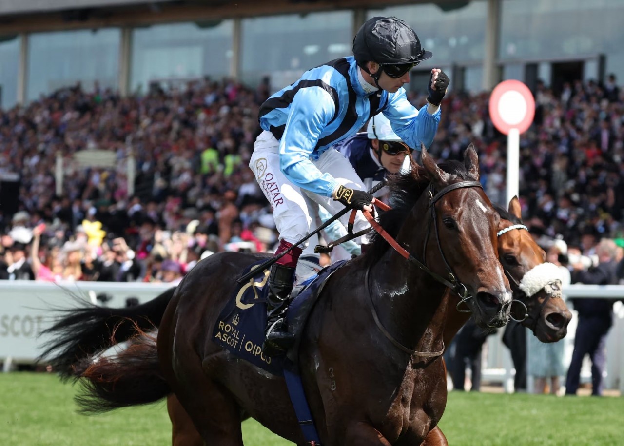 Royal Ascot 2024: Những chiếc mũ có một không 2 tại lễ đua ngựa thường niên của Hoàng gia Anh Royal Ascot 2024: Những chiếc mũ có một không 2 tại lễ đua ngựa thường niên của Hoàng gia Anh
