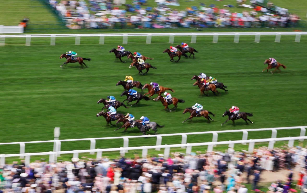 Royal Ascot 2024: Những chiếc mũ có một không 2 tại lễ đua ngựa thường niên của Hoàng gia Anh Royal Ascot 2024: Những chiếc mũ có một không 2 tại lễ đua ngựa thường niên của Hoàng gia Anh