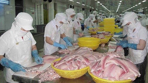 Cá tra Việt 'đắt hàng' tại Hong Kong (Trung Quốc)