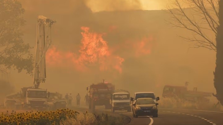 Cháy rừng nghiêm trọng tại Hy Lạp và Thổ Nhĩ Kỳ gây thiệt hại nặng nề