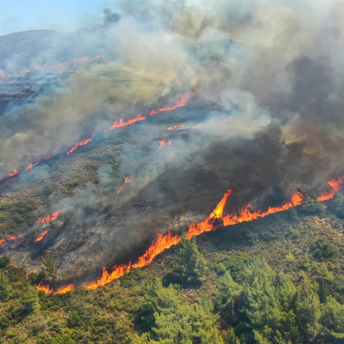 Điểm tin thế giới sáng 24/6: Quan hệ Ấn Độ-Bangladesh 'thăng hoa', Ba Lan cân nhắc đóng cửa khẩu với Belarus, Mỹ tiêu diệt USV của Houthi Điểm tin thế giới sáng 24/6: Quan hệ Ấn Độ-Bangladesh 'thăng hoa', Ba Lan cân nhắc đóng cửa khẩu với Belarus, Mỹ tiêu diệt USV của Houthi