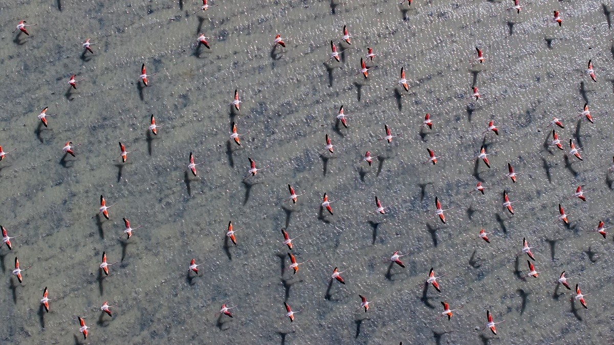 Ảnh ấn tượng (17 23/6): Ông Putin bình luận việc Ukraine yêu cầu Nga rút quân, lái ô tô chở Chủ tịch Triều Tiên; Mỹ ra quyết định quan trọng