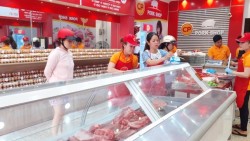 Giá heo hơi hôm nay 14/7: Ba miền đồng loạt tăng; Hà Nội, Hưng Yên dẫn đầu với 67.000 đồng/kg