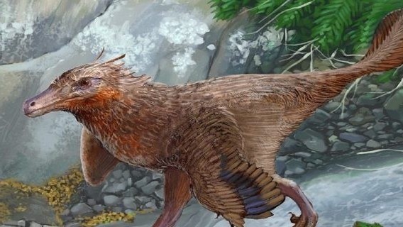 Argentina phát hiện hóa thạch khủng long ăn thịt niên đại 83 triệu năm