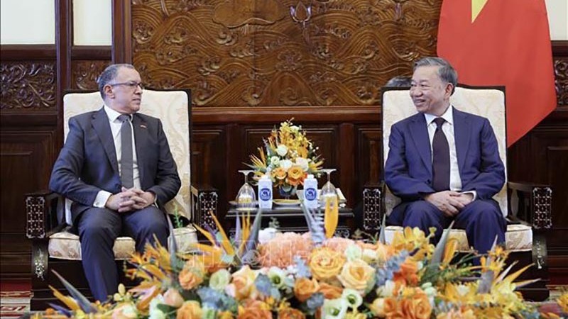 Chủ tịch nước tiếp Đại sứ Colombia và Panama chào từ biệt, kết thúc nhiệm kỳ công tác tại Việt Nam