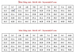 Kỳ thi tốt nghiệp THPT 2024: Đáp án tham khảo môn tiếng Anh