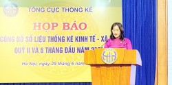 Kinh tế 6 tháng đầu năm: Xuất khẩu và đầu tư nước ngoài tăng trưởng đột phá