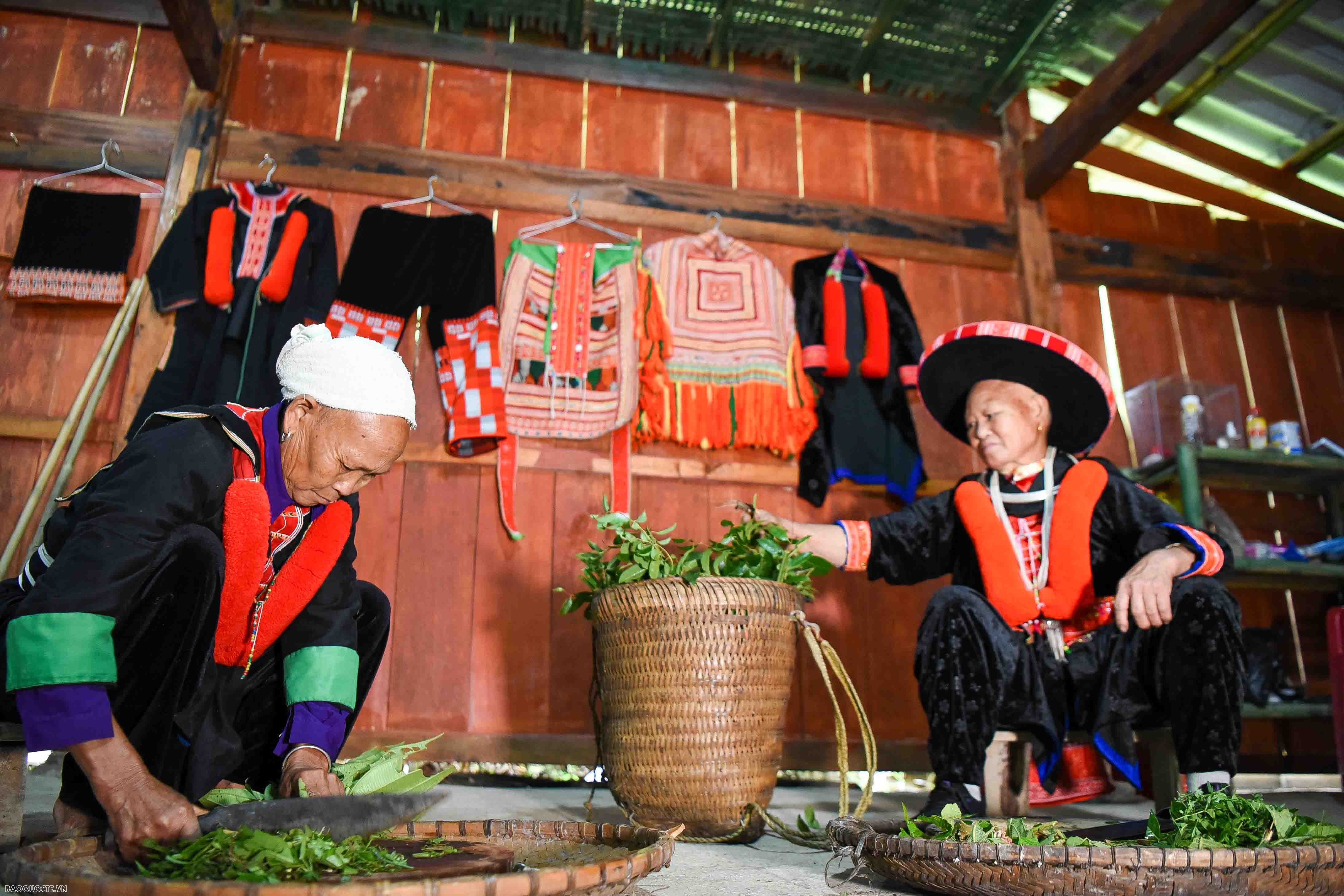 Những người bảo tồn, phát triển các bài thuốc cổ truyền của người Dao đỏ