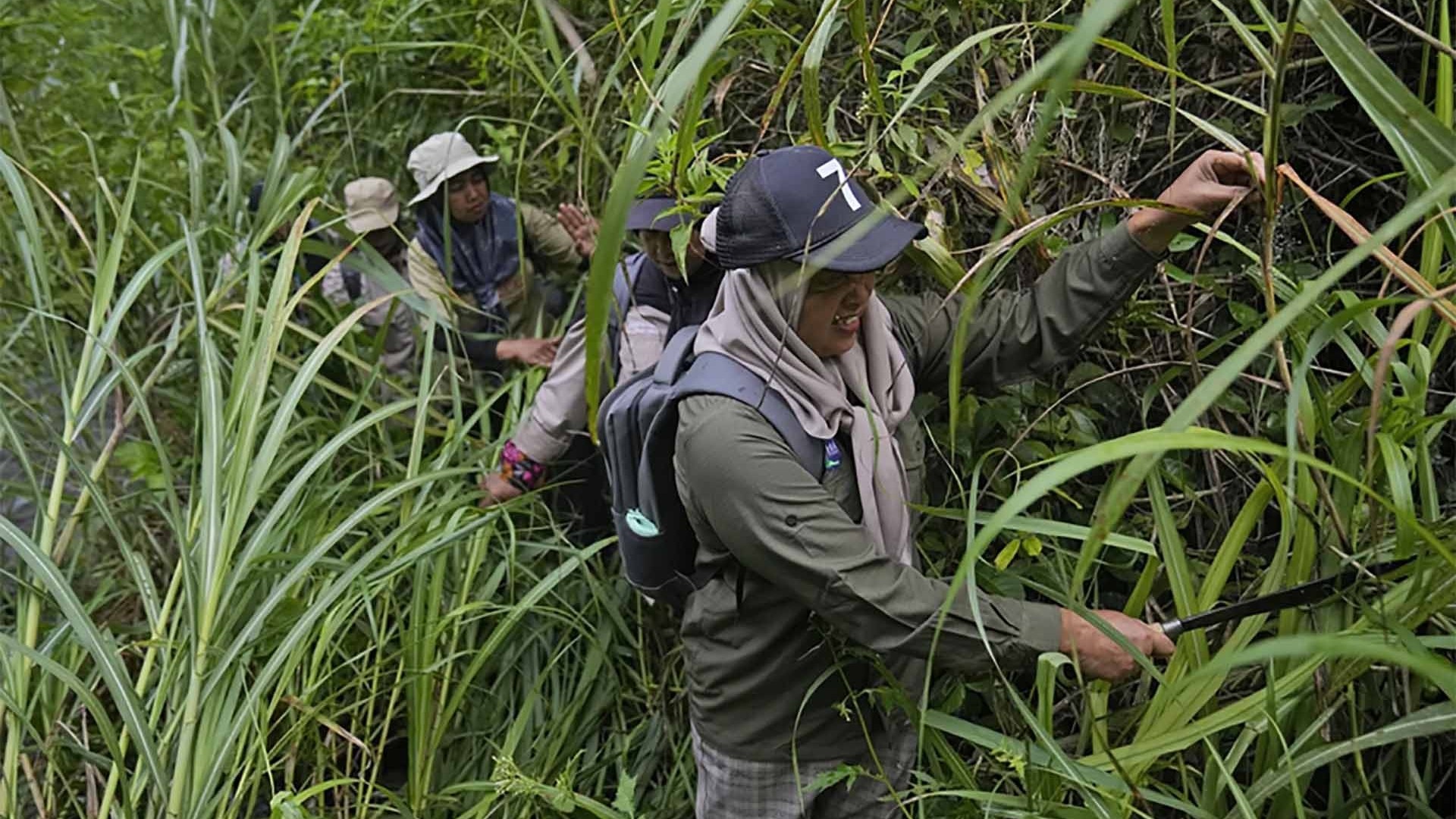 Bảo vệ rừng dựa trên ý thức người dân