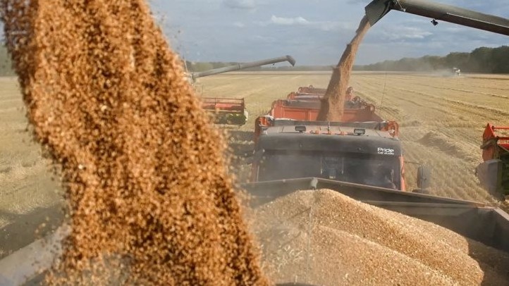 Nga kéo dài thêm 6 tháng lệnh cấm xuất khẩu gạo và yến mạch