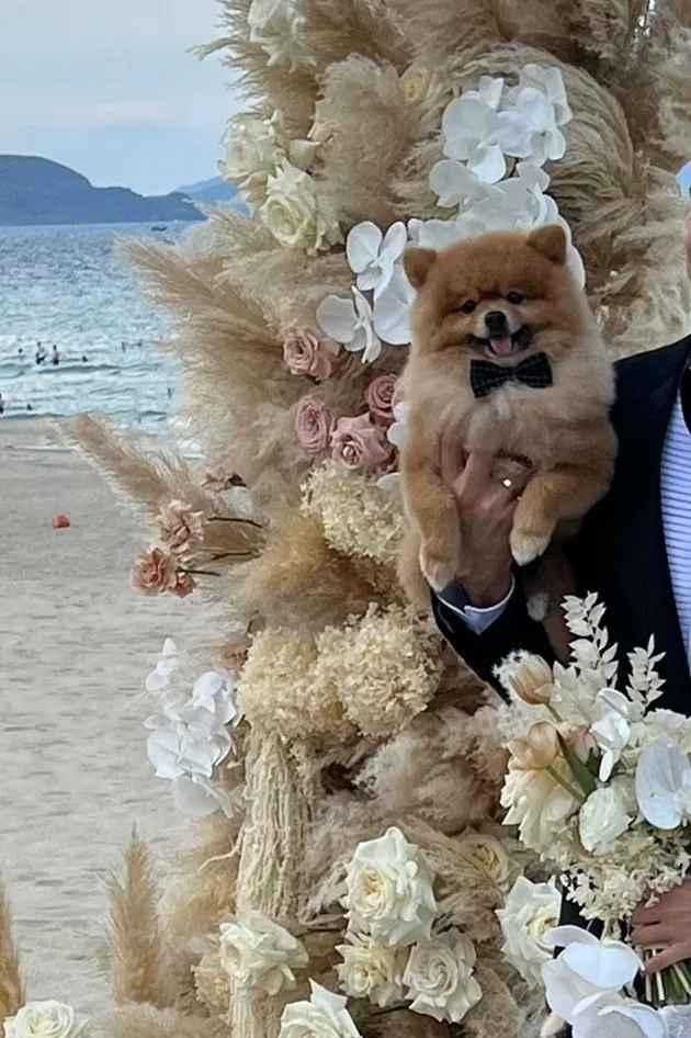 Những bức đầu tiên sau đám cưới trên bãi biển của thủ môn Đặng Văn Lâm và Yến Xuân Những bức đầu tiên sau đám cưới trên bãi biển của thủ môn Đặng Văn Lâm và Yến Xuân