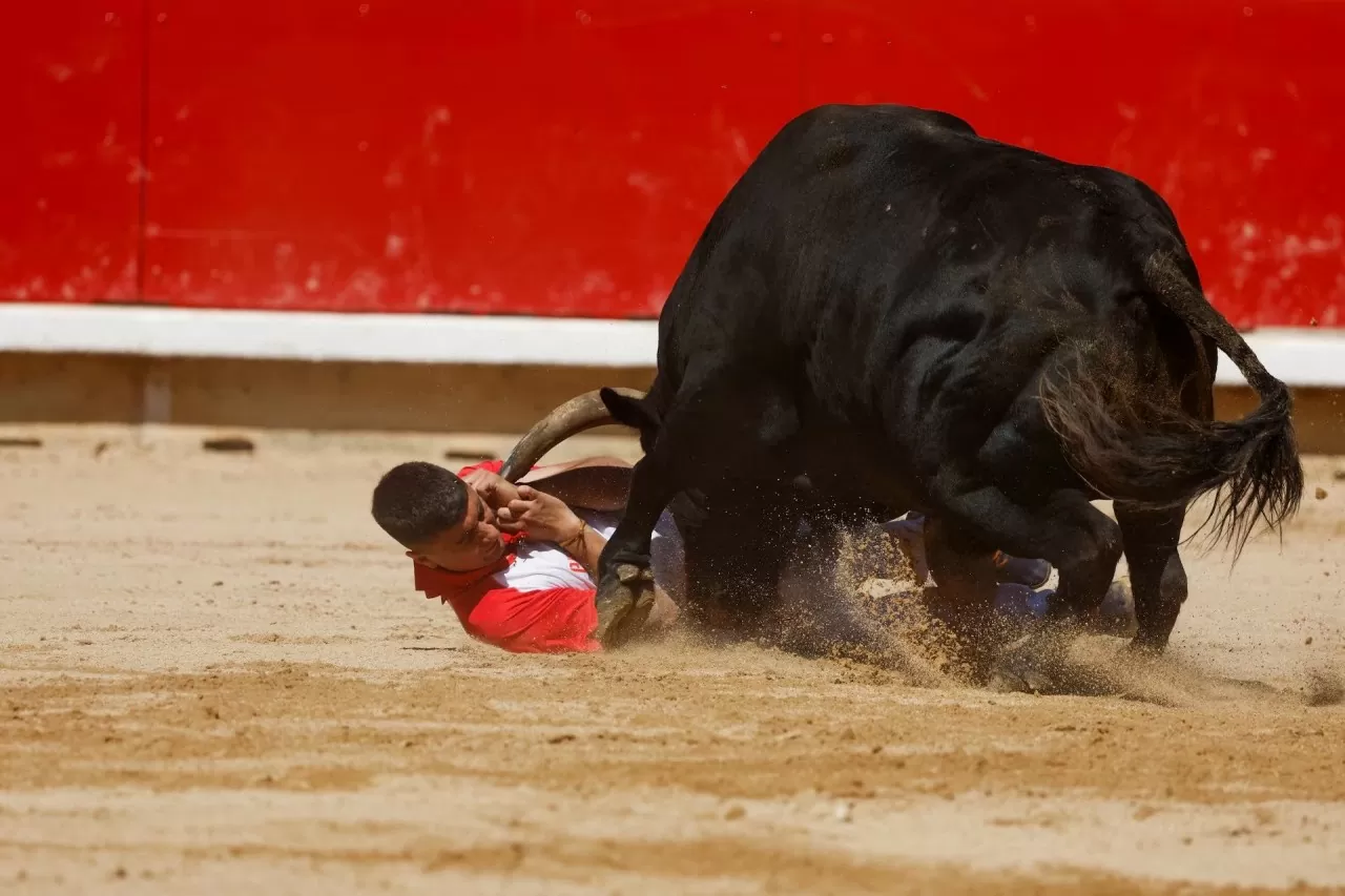 Không khí náo nhiệt không kém phần nguy hiểm tại lễ hội đua bò tót ở Tây Ban Nha Không khí náo nhiệt không kém phần nguy hiểm tại lễ hội đua bò tót ở Tây Ban Nha